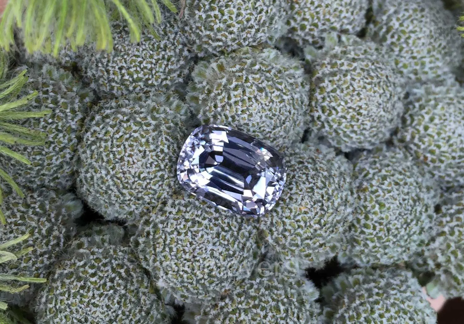 Серая шпинель
